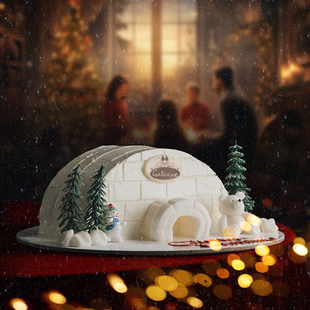 Frozen House Cake