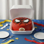 Web Mask Box Cake
