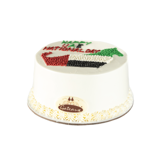Emirates Map Cake