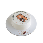 Teddy Bear Birthday Cake V2