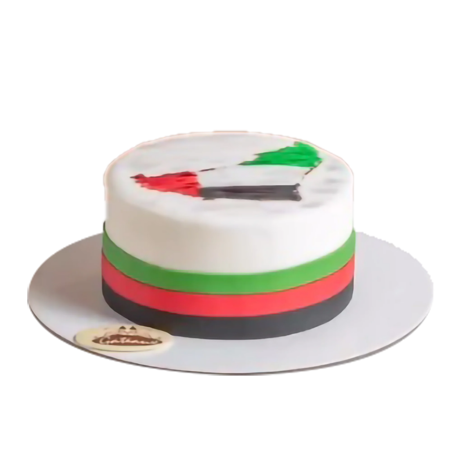 UAEMap-UAENational DayCake