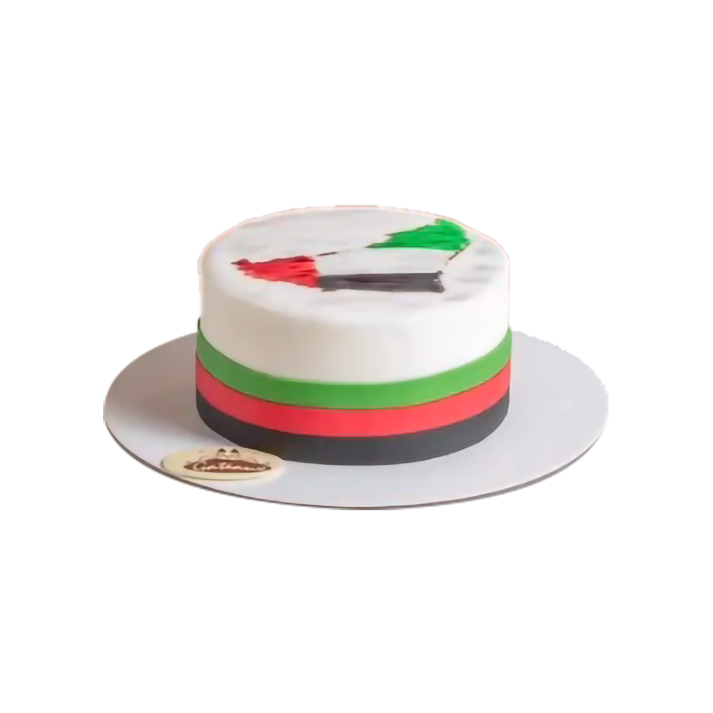 UAE Map Fondant Cake